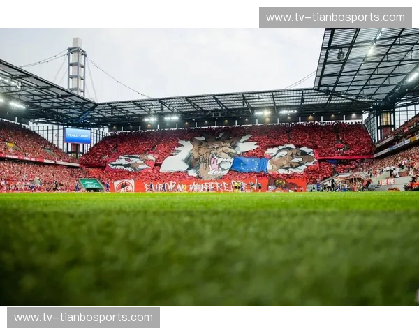 欧协联资讯：连接欧洲商机与合作的桥梁